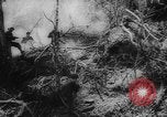 Image of Japanese prisoners Okinawa Ryukyu Islands, 1945, second 21 stock footage video 65675073177