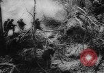 Image of Japanese prisoners Okinawa Ryukyu Islands, 1945, second 23 stock footage video 65675073177