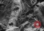 Image of Japanese prisoners Okinawa Ryukyu Islands, 1945, second 27 stock footage video 65675073177