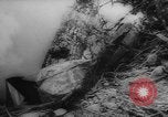 Image of Japanese prisoners Okinawa Ryukyu Islands, 1945, second 29 stock footage video 65675073177