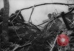 Image of Japanese prisoners Okinawa Ryukyu Islands, 1945, second 31 stock footage video 65675073177