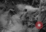 Image of Japanese prisoners Okinawa Ryukyu Islands, 1945, second 37 stock footage video 65675073177