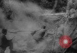 Image of Japanese prisoners Okinawa Ryukyu Islands, 1945, second 39 stock footage video 65675073177