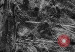 Image of Japanese prisoners Okinawa Ryukyu Islands, 1945, second 41 stock footage video 65675073177