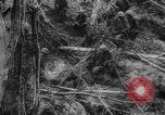 Image of Japanese prisoners Okinawa Ryukyu Islands, 1945, second 42 stock footage video 65675073177