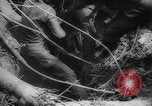 Image of Japanese prisoners Okinawa Ryukyu Islands, 1945, second 43 stock footage video 65675073177