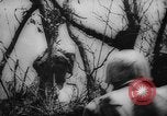 Image of Japanese prisoners Okinawa Ryukyu Islands, 1945, second 55 stock footage video 65675073177
