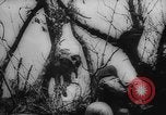 Image of Japanese prisoners Okinawa Ryukyu Islands, 1945, second 56 stock footage video 65675073177