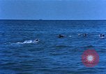 Image of Project Mercury United States USA, 1962, second 3 stock footage video 65675073182