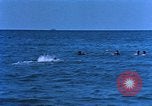 Image of Project Mercury United States USA, 1962, second 4 stock footage video 65675073182