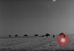 Standbild französischer Soldaten Meskiana Gemeinde Algerien, 1958, aus Sekunde 12 historischem Filmmaterial Videoclip 65675073189