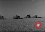 Standbild französischer Soldaten Meskiana Gemeinde Algerien, 1958, aus Sekunde 14 historischem Filmmaterial Videoclip 65675073189
