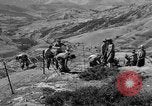 Immagine di Le fortificazioni francesi Algeria, 1954, secondo 29 filmato di repertorio 65675073193