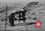 Immagine di Le fortificazioni francesi Algeria, 1954, secondo 34 filmato di repertorio 65675073193