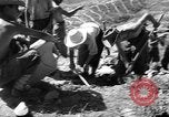 Immagine di Le fortificazioni francesi Algeria, 1954, secondo 48 filmato di repertorio 65675073193