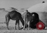 Standbild Öl bohren Algerien, 1958, aus Sekunde 19 historischem Filmmaterial Videoclip 65675073194