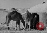 Standbild Öl bohren Algerien, 1958, aus Sekunde 20 historischem Filmmaterial Videoclip 65675073194