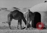 Standbild Öl bohren Algerien, 1958, aus Sekunde 21 historischem Filmmaterial Videoclip 65675073194