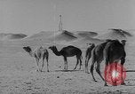 Standbild Öl bohren Algerien, 1958, aus Sekunde 24 historischem Filmmaterial Videoclip 65675073194