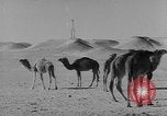 Standbild Öl bohren Algerien, 1958, aus Sekunde 25 historischem Filmmaterial Videoclip 65675073194