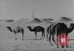 Standbild Öl bohren Algerien, 1958, aus Sekunde 26 historischem Filmmaterial Videoclip 65675073194