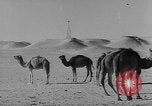 Standbild Öl bohren Algerien, 1958, aus Sekunde 27 historischem Filmmaterial Videoclip 65675073194