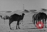 Standbild Öl bohren Algerien, 1958, aus Sekunde 30 historischem Filmmaterial Videoclip 65675073194
