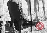 Standbild Öl bohren Algerien, 1958, aus Sekunde 35 historischem Filmmaterial Videoclip 65675073194