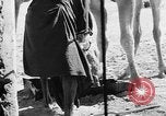 Standbild Öl bohren Algerien, 1958, aus Sekunde 38 historischem Filmmaterial Videoclip 65675073194