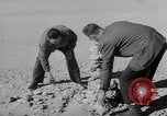 Standbild Öl bohren Algerien, 1958, aus Sekunde 41 historischem Filmmaterial Videoclip 65675073194