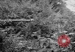 Standbild Bundeswehr Fulda Deutschland, 1970, aus Sekunde 29 historischem Filmmaterial Videoclip 65675073196