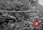 Standbild Bundeswehr Fulda Deutschland, 1970, aus Sekunde 30 historischem Filmmaterial Videoclip 65675073196
