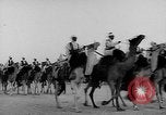 Image Meharistes le Hoggar Algérie, 1954, de la seconde 3 séquences d'archives historiques vidéo 65675073200
