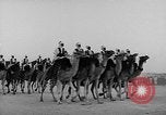 Image Meharistes le Hoggar Algérie, 1954, de la seconde 5 séquences d'archives historiques vidéo 65675073200