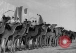 Image Meharistes le Hoggar Algérie, 1954, de la seconde 25 séquences d'archives historiques vidéo 65675073200