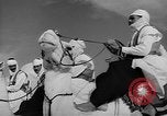 Image Meharistes le Hoggar Algérie, 1954, de la seconde 27 séquences d'archives historiques vidéo 65675073200