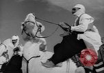 Image Meharistes le Hoggar Algérie, 1954, de la seconde 28 séquences d'archives historiques vidéo 65675073200