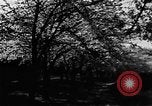 Image of Sesquicentennial Washington DC USA, 1949, second 28 stock footage video 65675073224