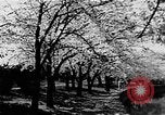 Image of Sesquicentennial Washington DC USA, 1949, second 38 stock footage video 65675073224
