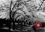 Image of Sesquicentennial Washington DC USA, 1949, second 39 stock footage video 65675073224