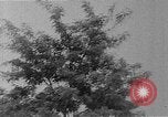 Image of WhiteHurst Freeway and temporary mall buildings Washington DC USA, 1950, second 3 stock footage video 65675073232