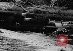 Image of Rock Creek Park and Hains Point Washington DC USA, 1950, second 24 stock footage video 65675073234