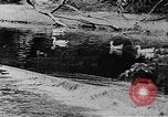 Image of Rock Creek Park and Hains Point Washington DC USA, 1950, second 25 stock footage video 65675073234
