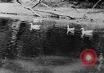 Image of Rock Creek Park and Hains Point Washington DC USA, 1950, second 26 stock footage video 65675073234
