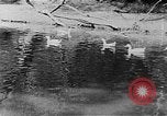 Image of Rock Creek Park and Hains Point Washington DC USA, 1950, second 27 stock footage video 65675073234