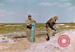 Image of A-26 Invader aircraft European Theater, 1945, second 50 stock footage video 65675073246