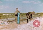 Image of A-26 Invader aircraft European Theater, 1945, second 51 stock footage video 65675073246