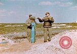 Image of A-26 Invader aircraft European Theater, 1945, second 53 stock footage video 65675073246