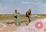 Image of A-26 Invader aircraft European Theater, 1945, second 59 stock footage video 65675073246