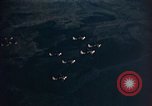 Image of A-26 Invader aircraft European Theater, 1945, second 29 stock footage video 65675073247